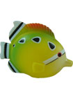 Giant Coral Fish Squirty